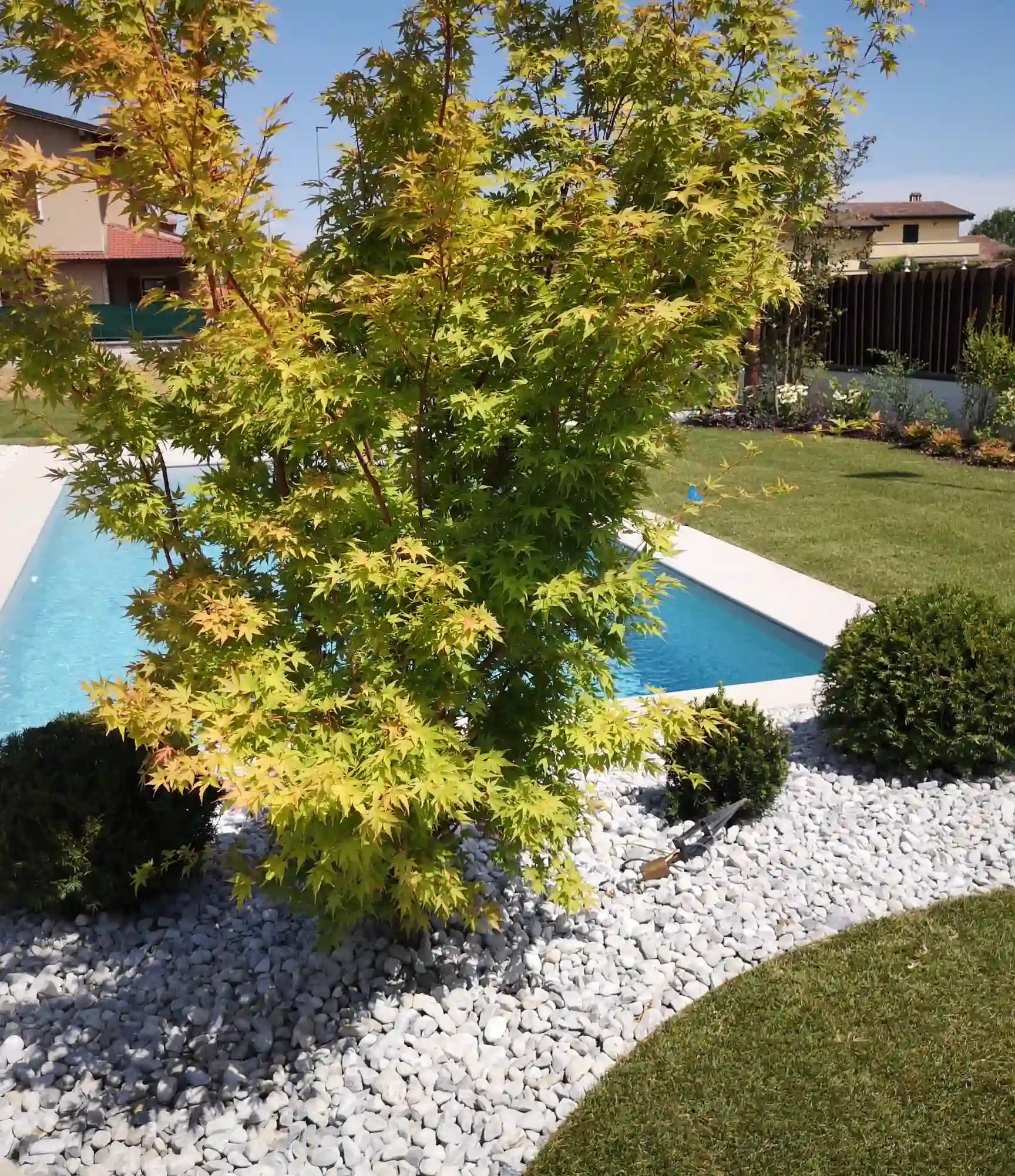 Giardino con fogli rosse e un prato curato