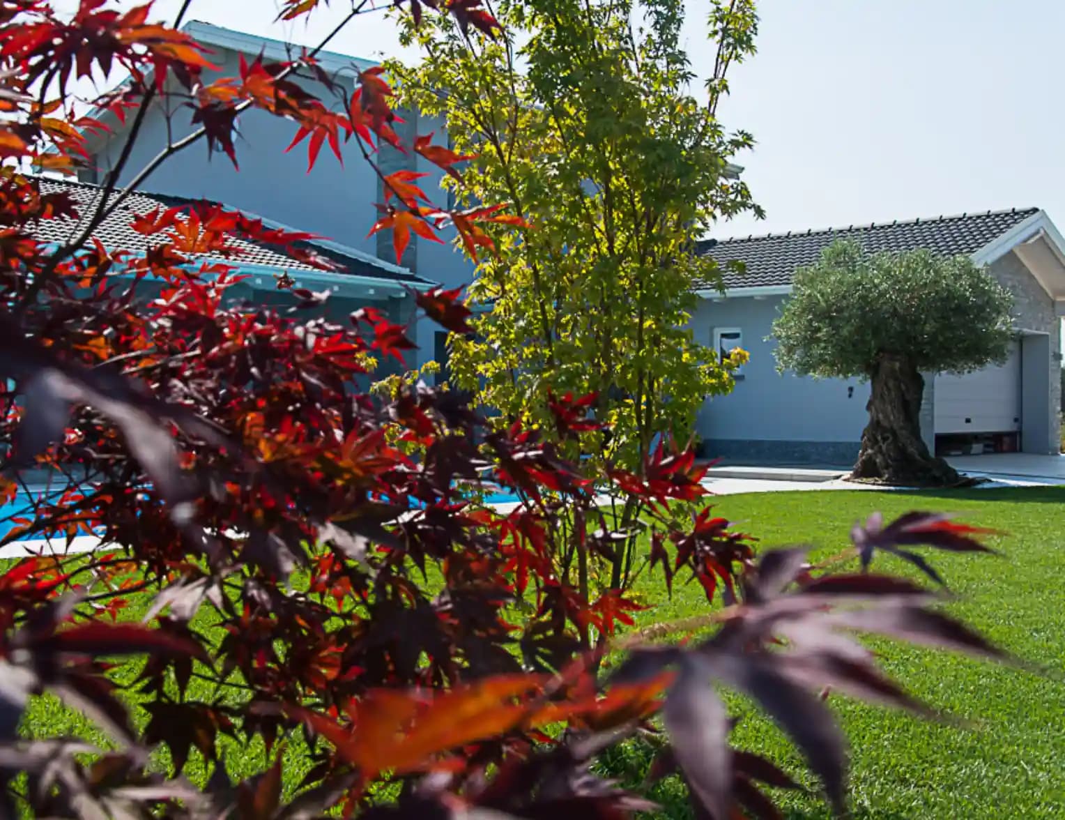 Giardino con fogli rosse e un prato curato